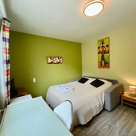 La Maison Du Gave - 8 Personnes - Jardin Holiday home Lourdes