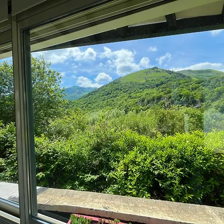 La Maison Du Gave - 8 Personnes - Jardin Holiday home *
