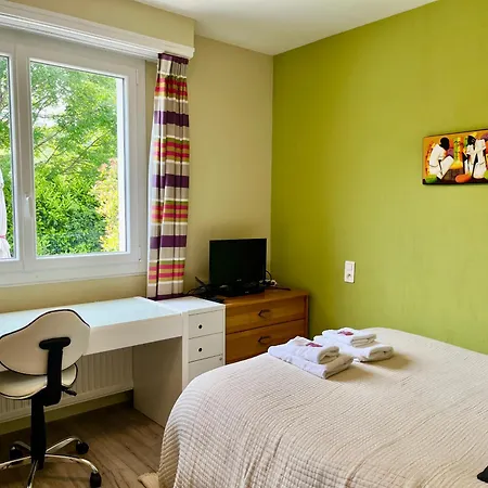 La Maison Du Gave - 8 Personnes - Jardin * Lourdes